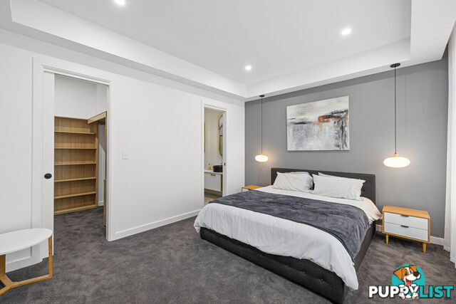 29 Charles Street UNLEY SA 5061