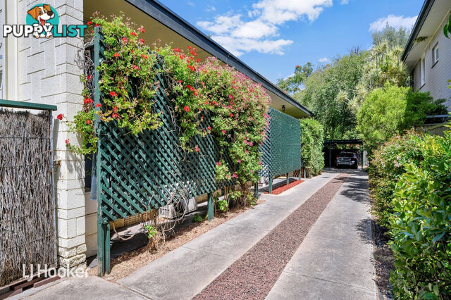 2/24 Stamford Street PARKSIDE SA 5063