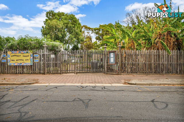 3/17 Fern Avenue FULLARTON SA 5063