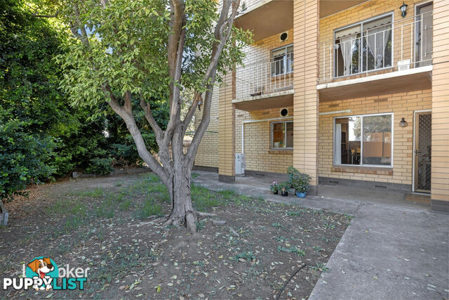 2/22 Charles Street NORWOOD SA 5067