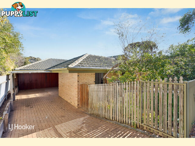 11 Jessie Road KENSINGTON PARK SA 5068