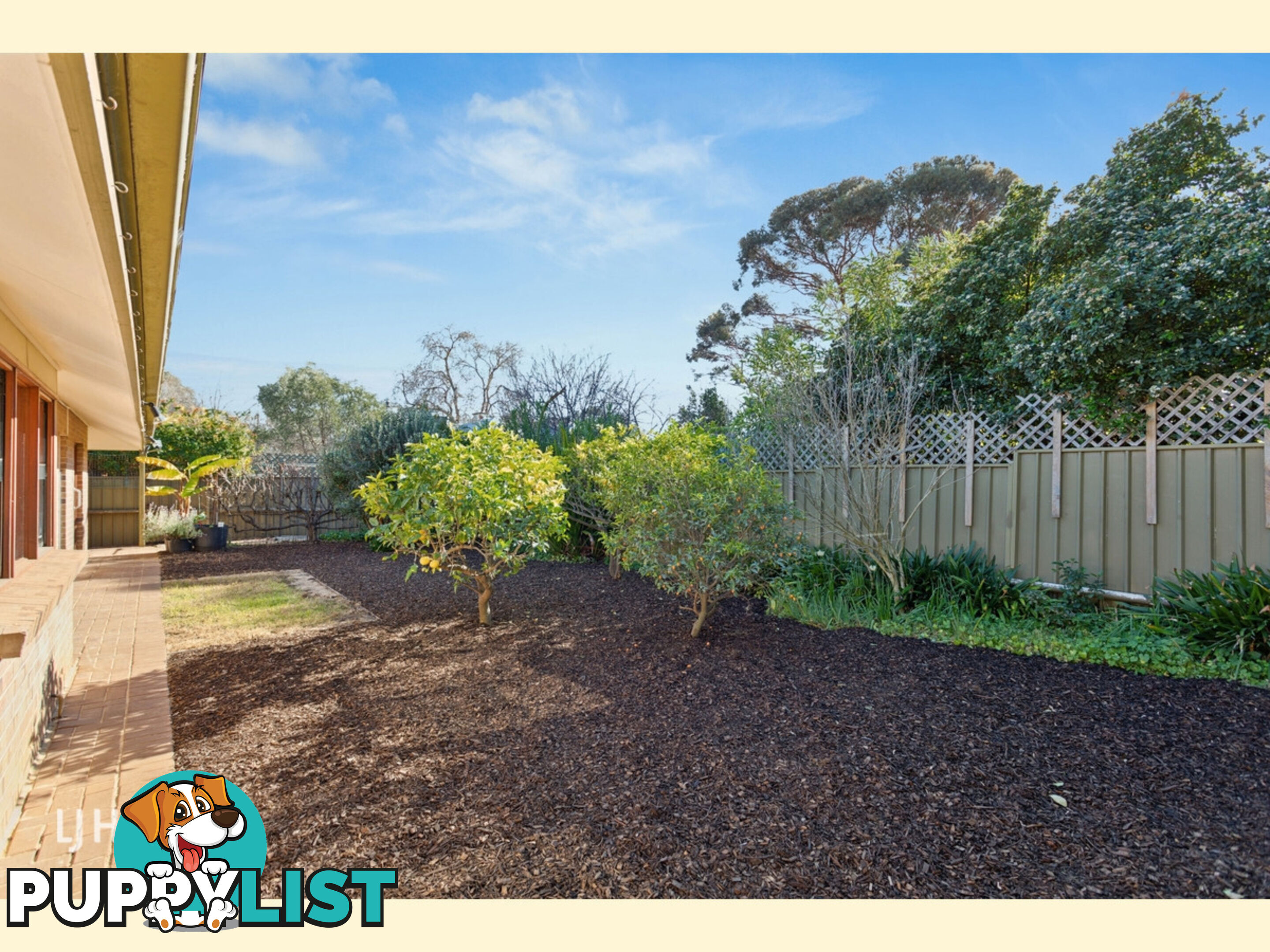 11 Jessie Road KENSINGTON PARK SA 5068