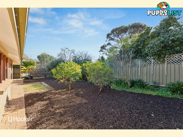 11 Jessie Road KENSINGTON PARK SA 5068