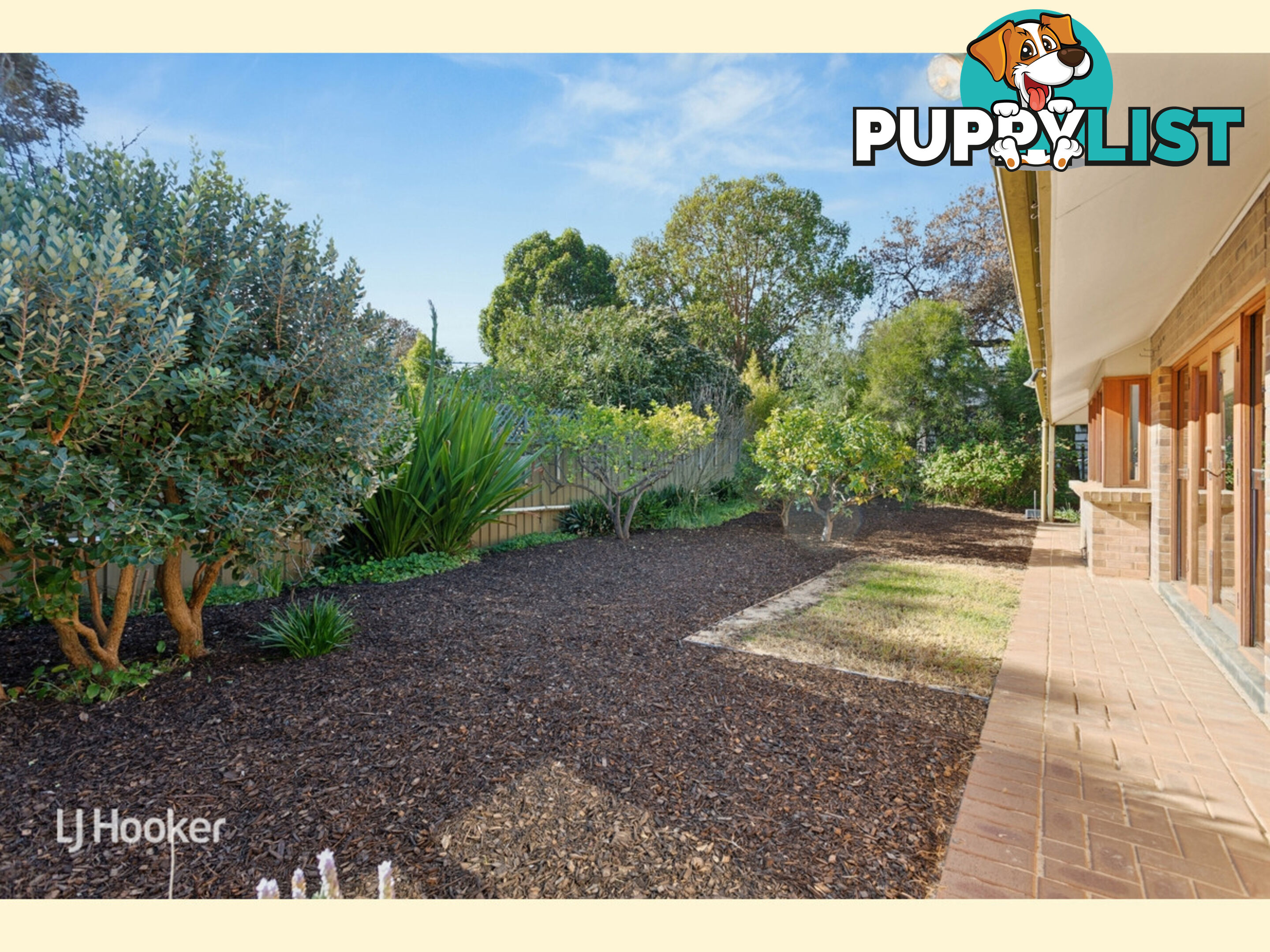 11 Jessie Road KENSINGTON PARK SA 5068