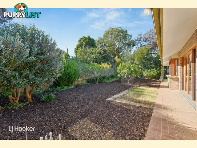 11 Jessie Road KENSINGTON PARK SA 5068