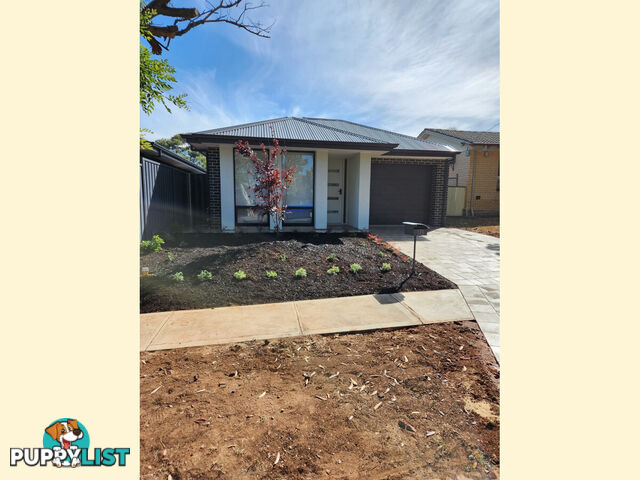 12b Rothwell Avenue INGLE FARM SA 5098