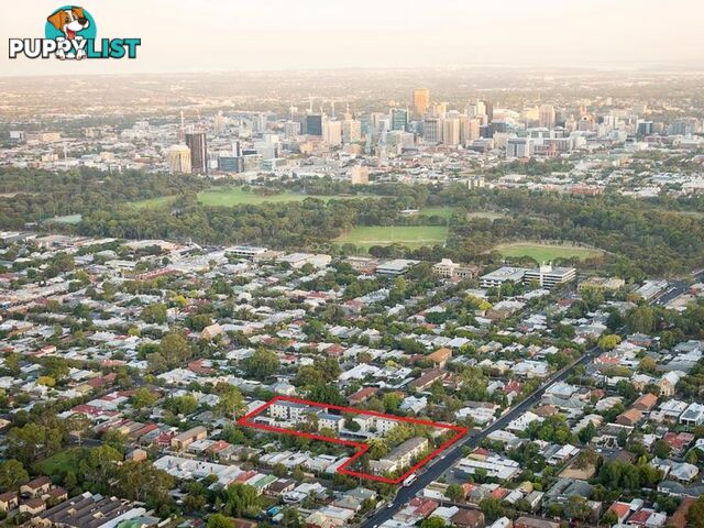 91 Robsart Street PARKSIDE SA 5063