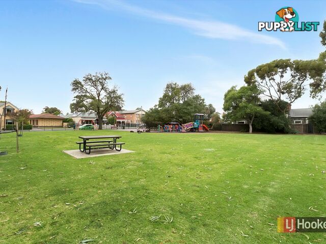 91 Robsart Street PARKSIDE SA 5063