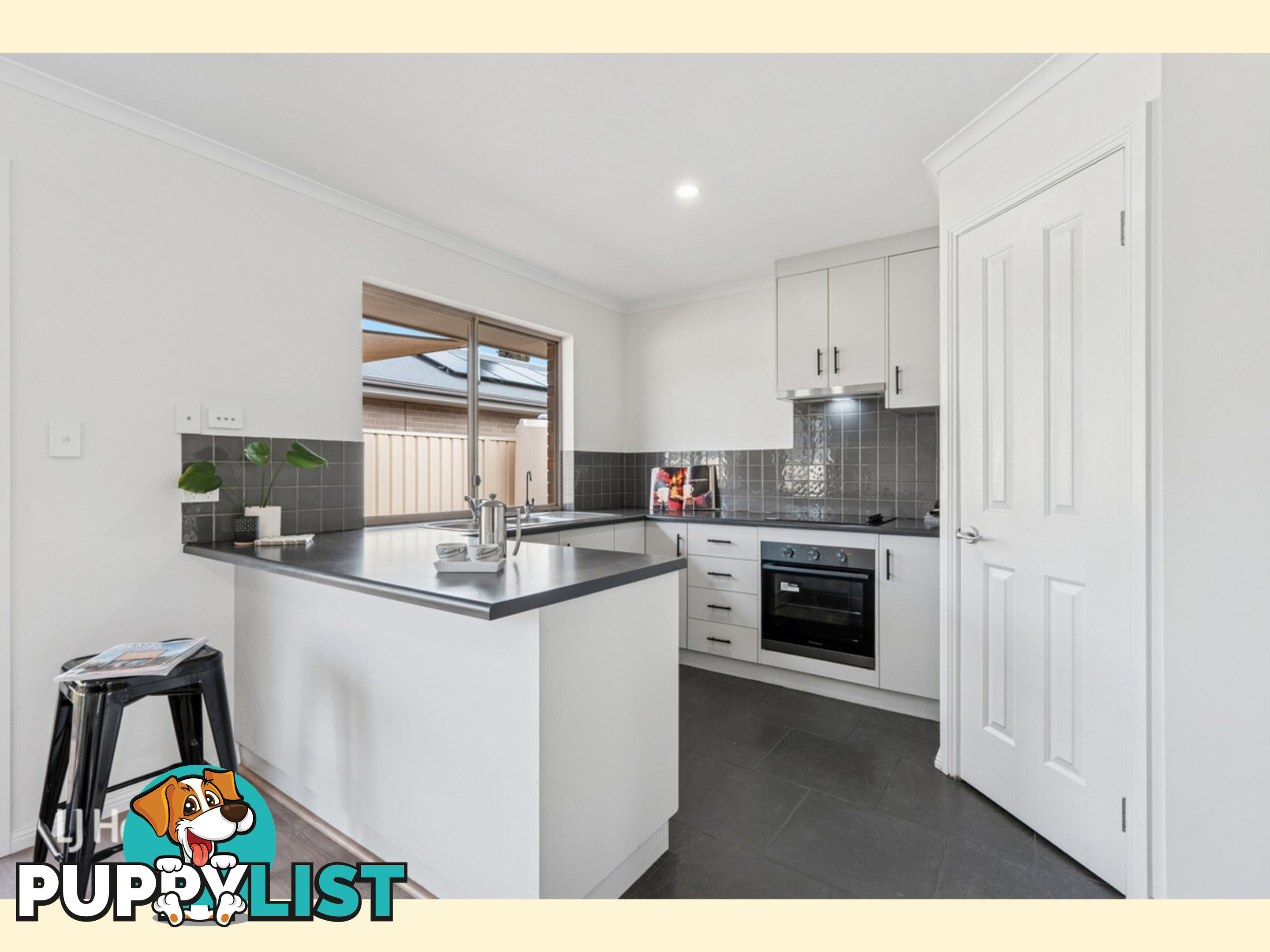 28 Finchley Street CLOVELLY PARK SA 5042