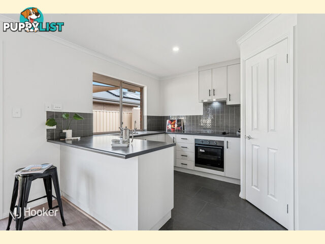 28 Finchley Street CLOVELLY PARK SA 5042