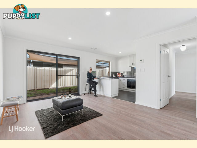 28 Finchley Street CLOVELLY PARK SA 5042
