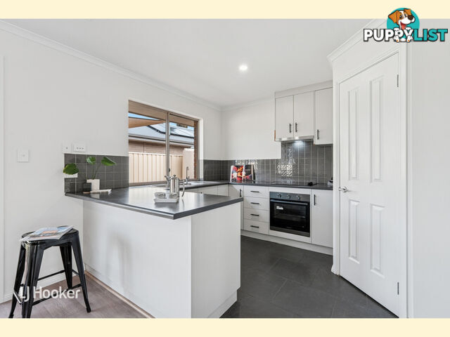 28 Finchley Street CLOVELLY PARK SA 5042
