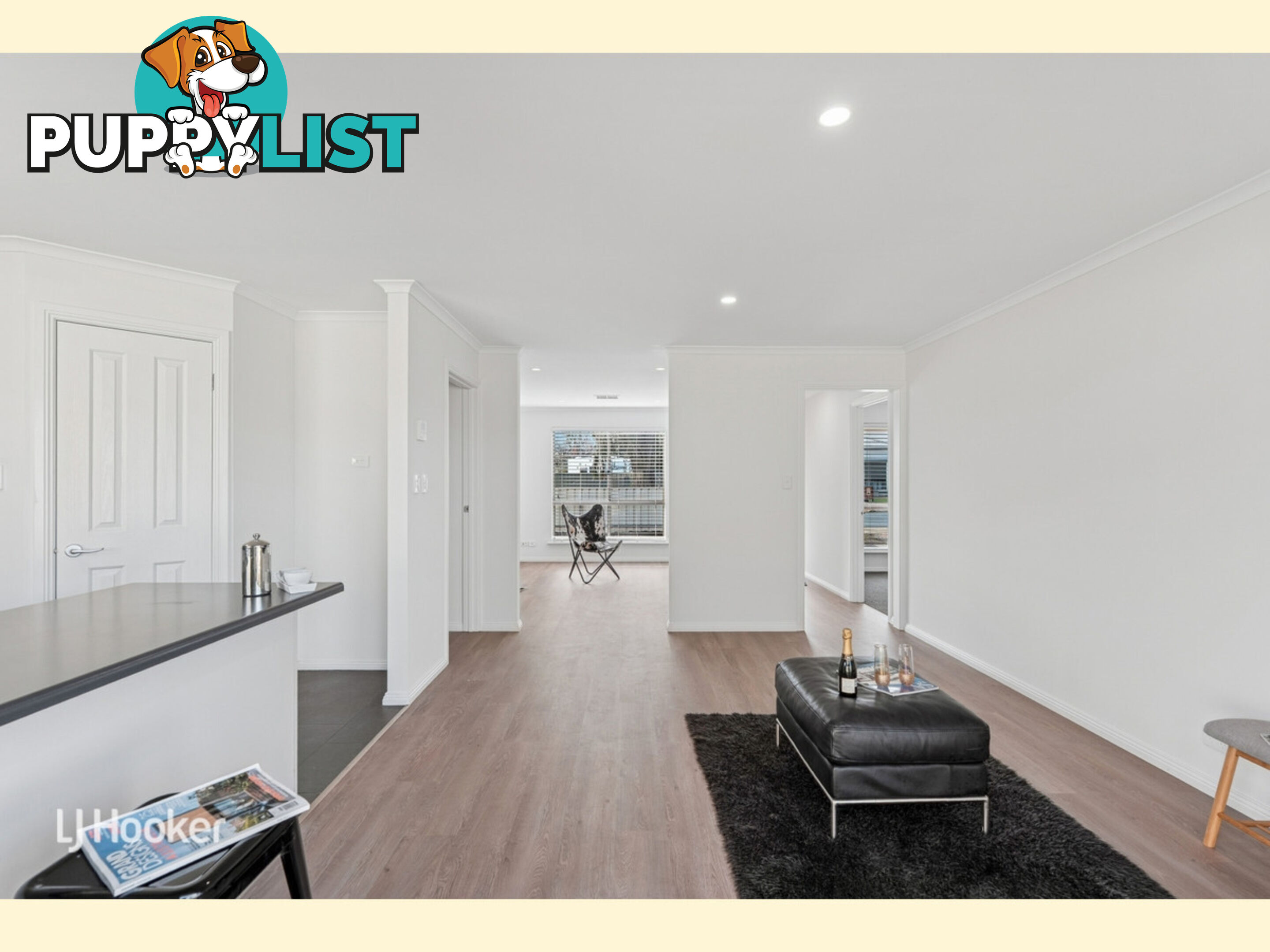 28 Finchley Street CLOVELLY PARK SA 5042