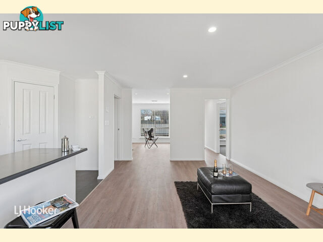 28 Finchley Street CLOVELLY PARK SA 5042