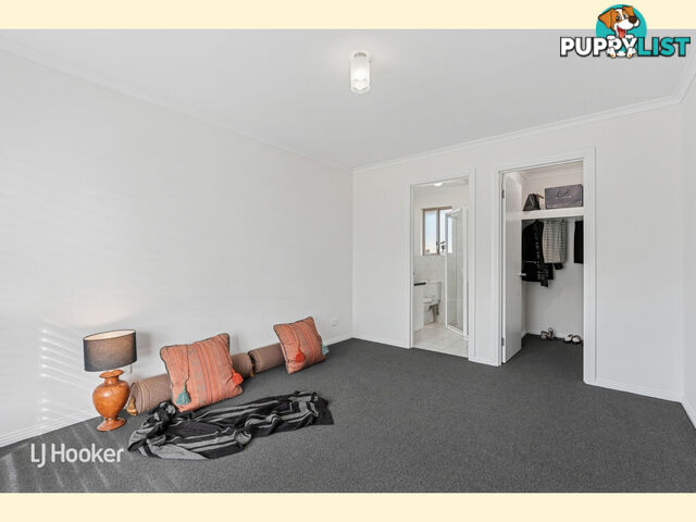 28 Finchley Street CLOVELLY PARK SA 5042