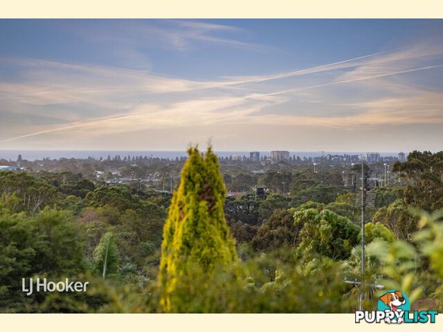 20 Edgar Street BEDFORD PARK SA 5042