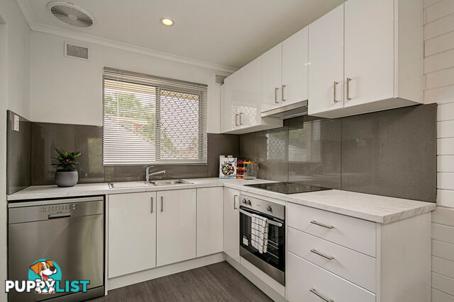 10/4 Loch Street STEPNEY SA 5069