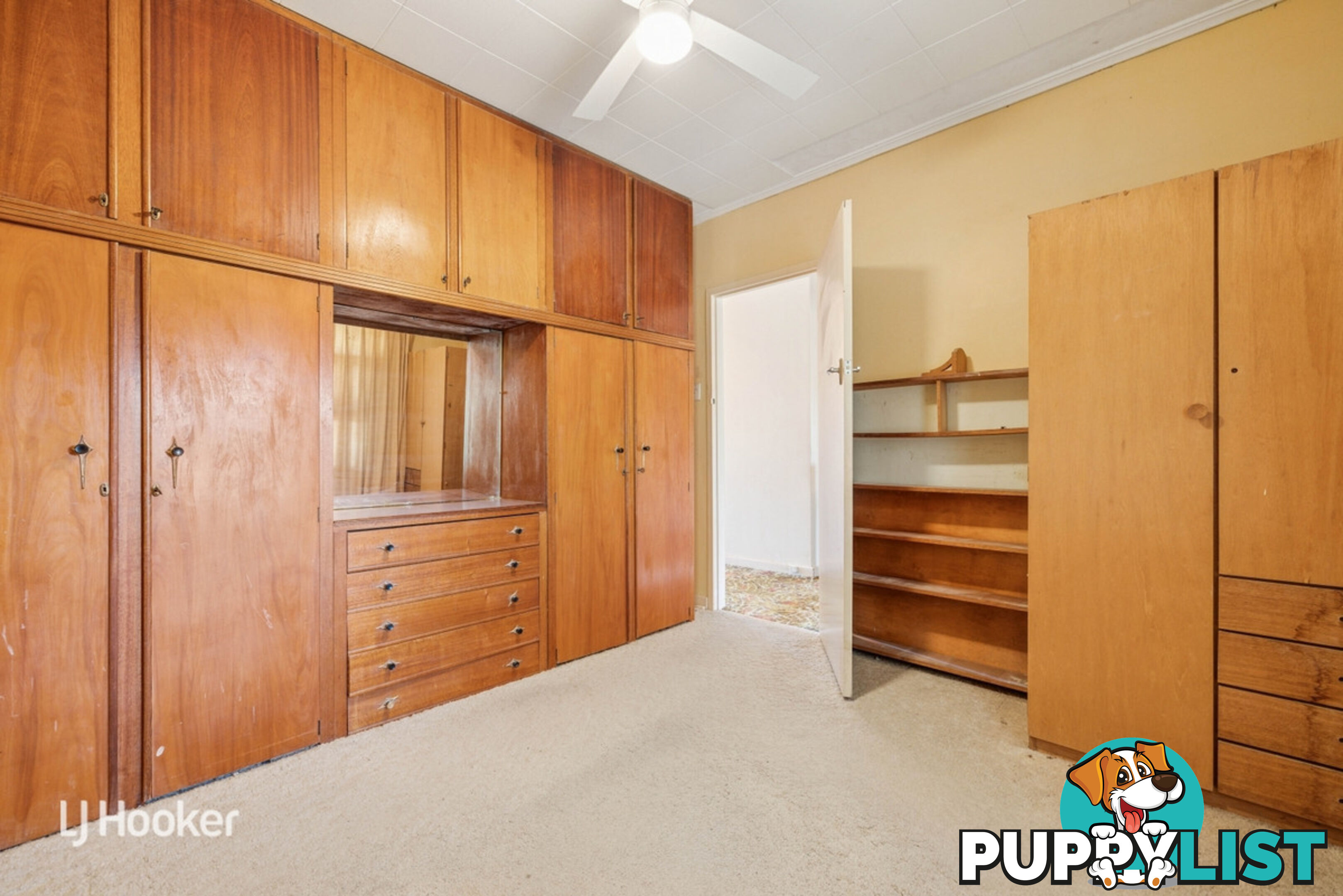 12 Peterson Avenue MITCHELL PARK SA 5043