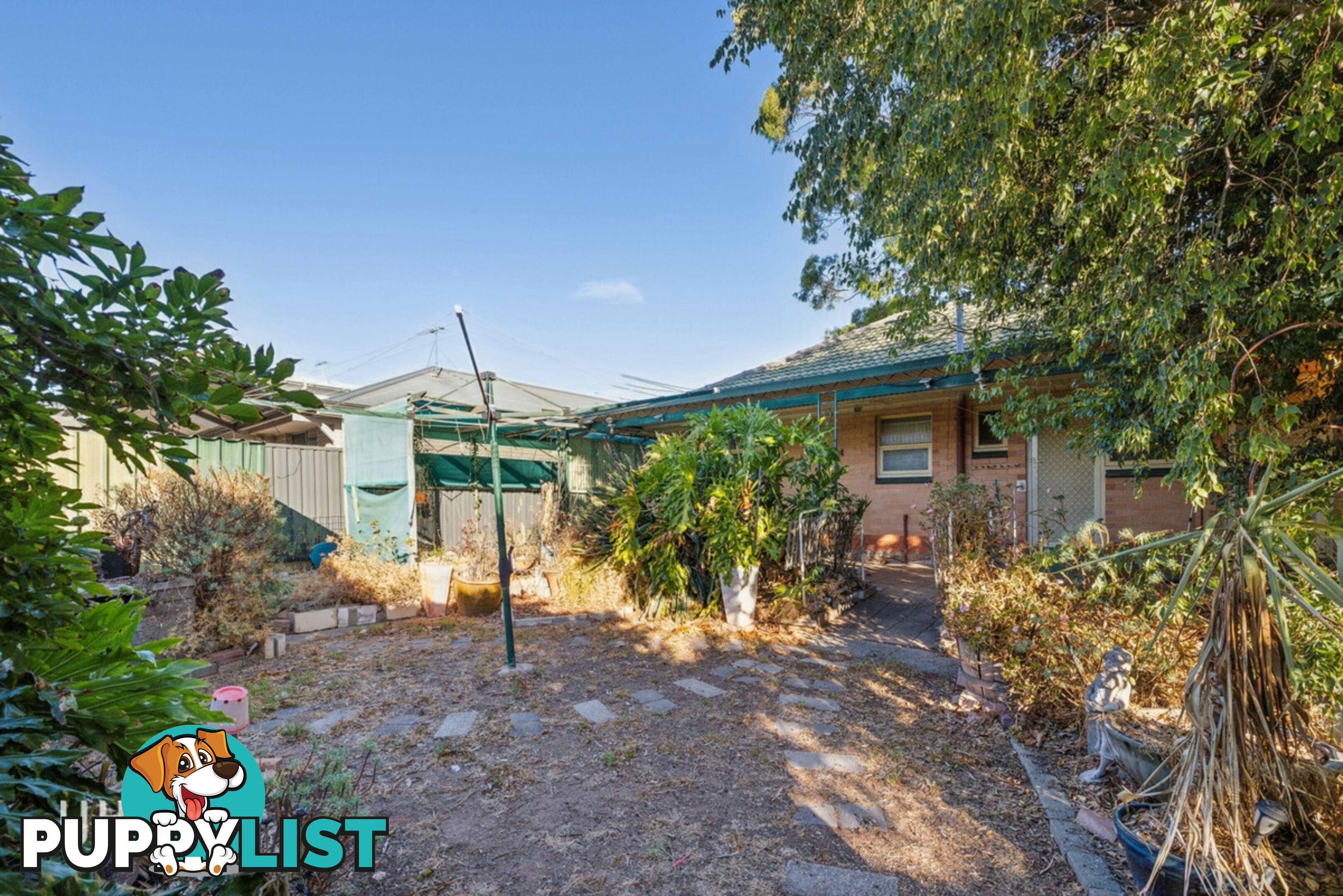 12 Peterson Avenue MITCHELL PARK SA 5043