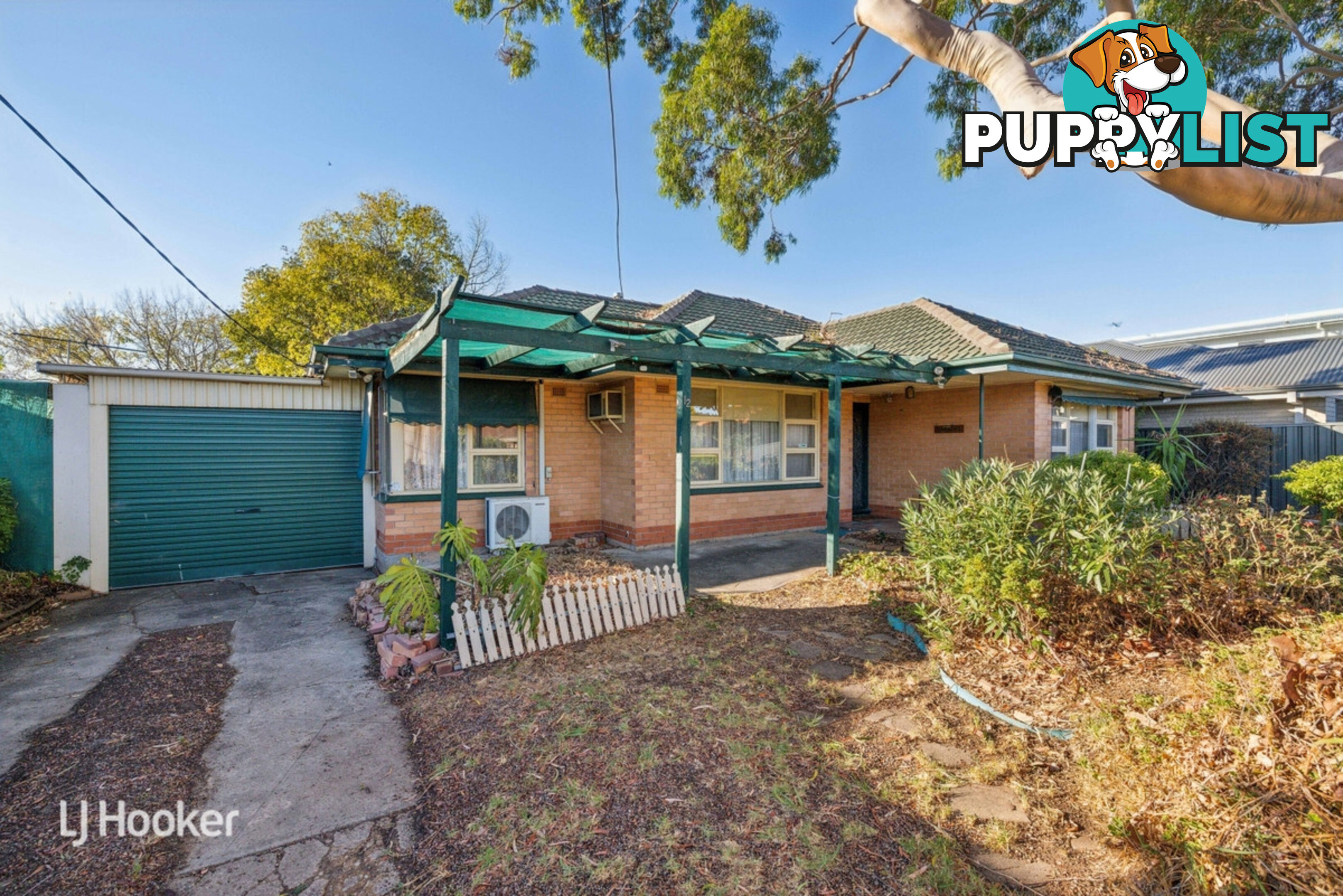 12 Peterson Avenue MITCHELL PARK SA 5043