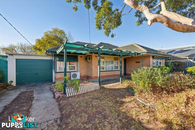 12 Peterson Avenue MITCHELL PARK SA 5043