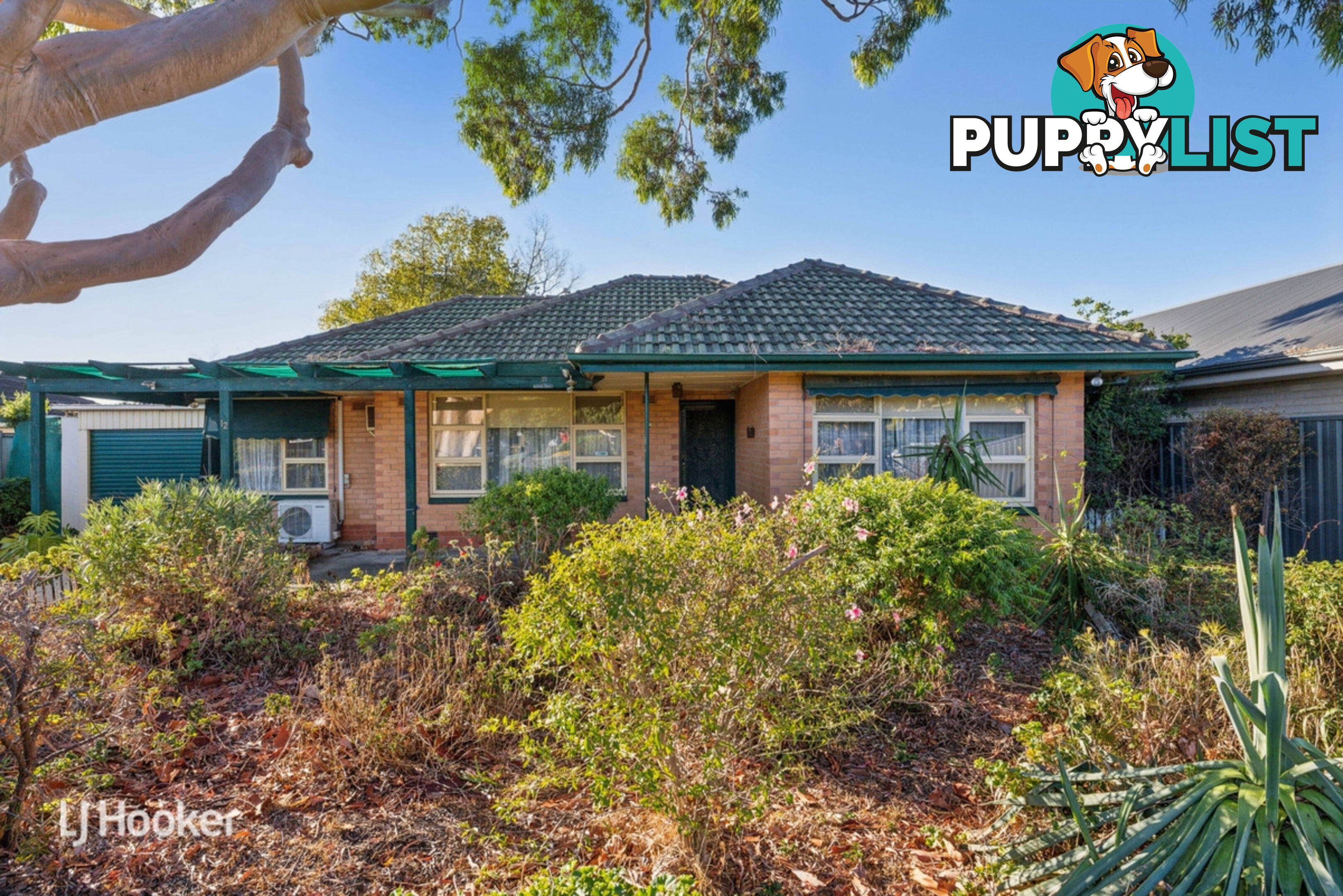 12 Peterson Avenue MITCHELL PARK SA 5043
