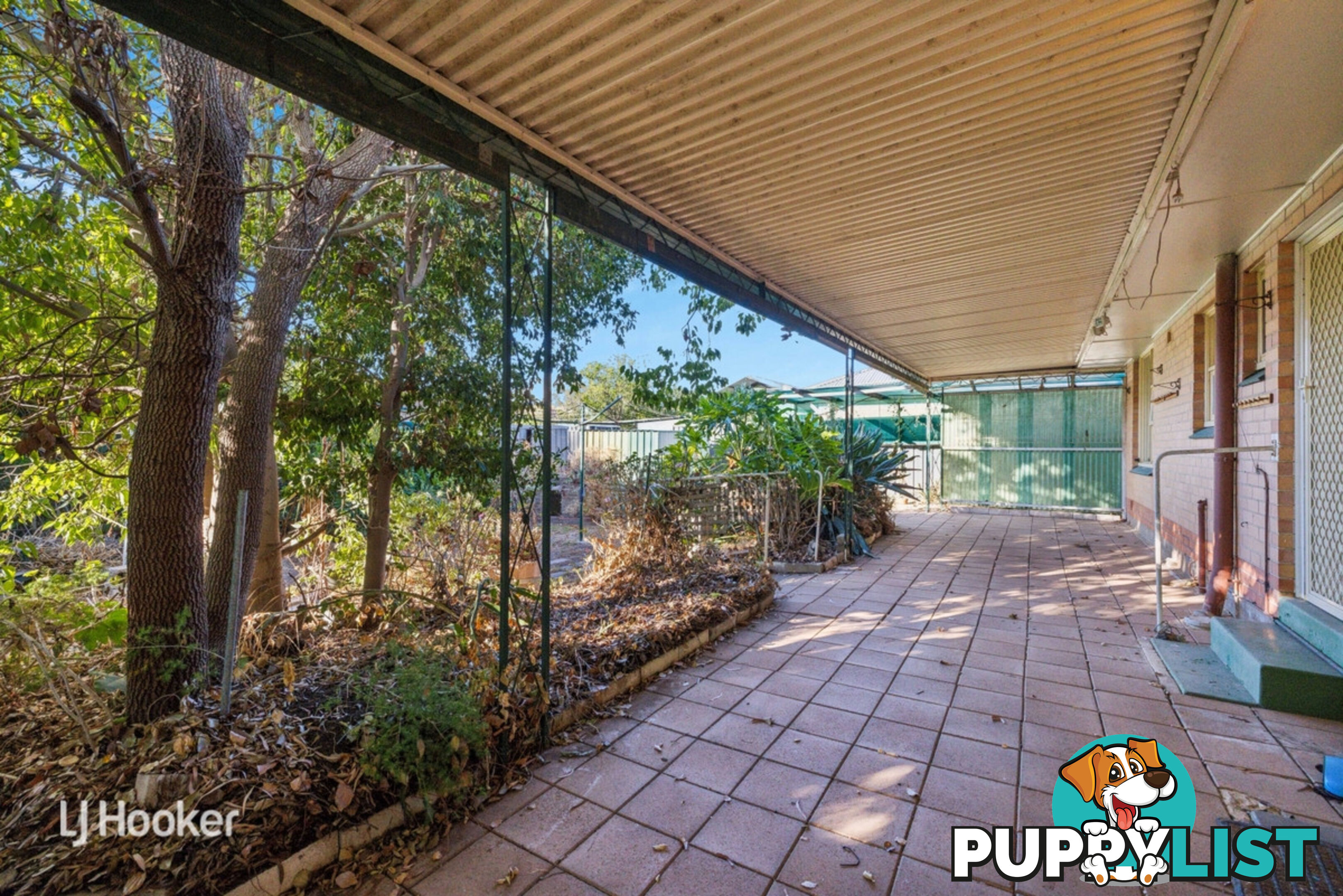 12 Peterson Avenue MITCHELL PARK SA 5043