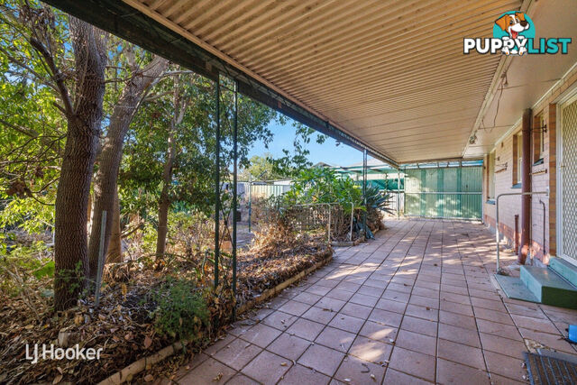 12 Peterson Avenue MITCHELL PARK SA 5043