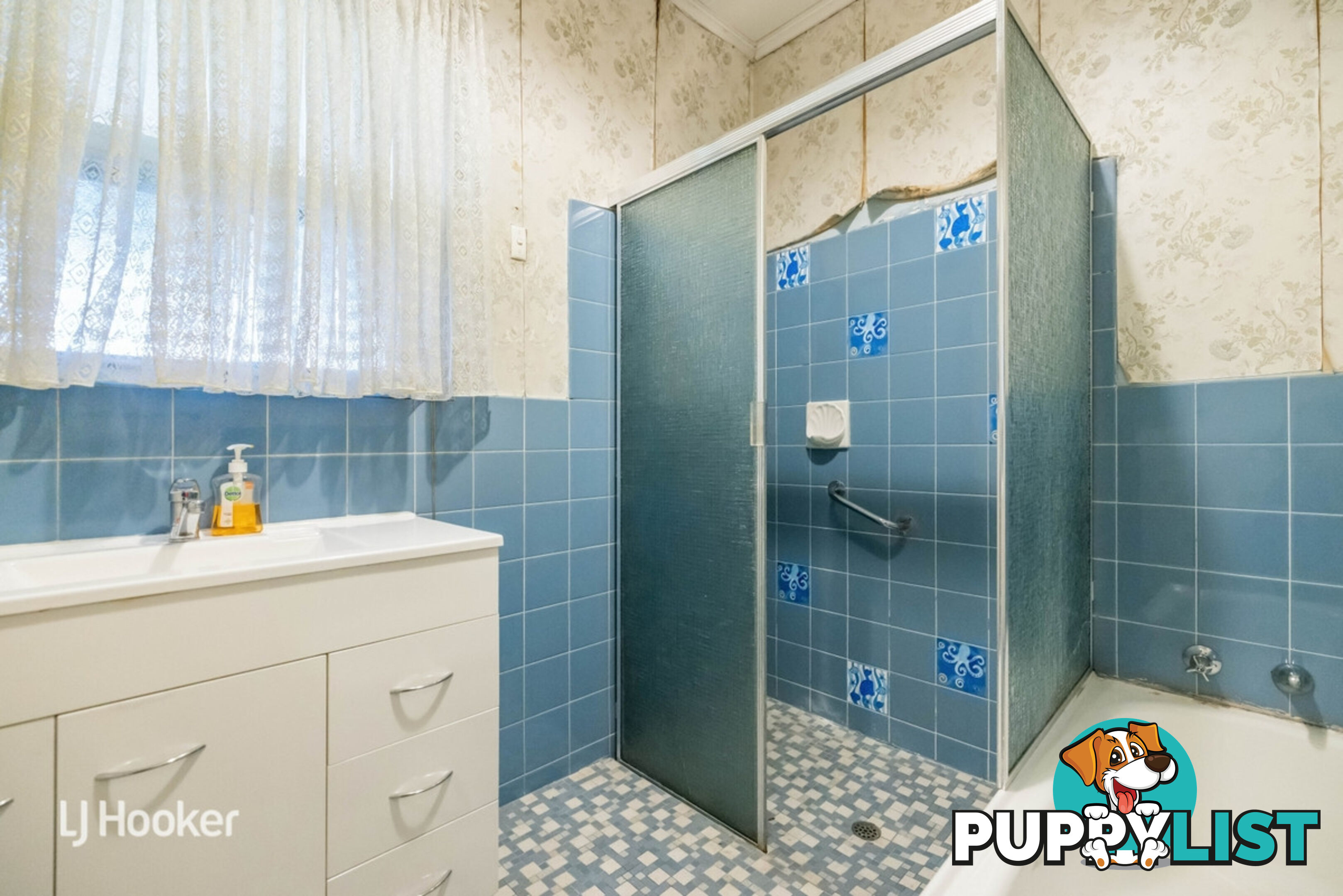 12 Peterson Avenue MITCHELL PARK SA 5043