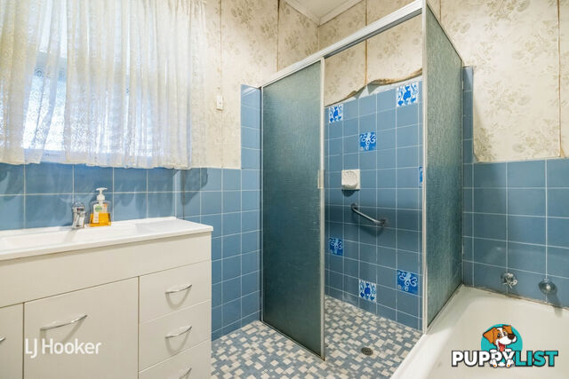 12 Peterson Avenue MITCHELL PARK SA 5043