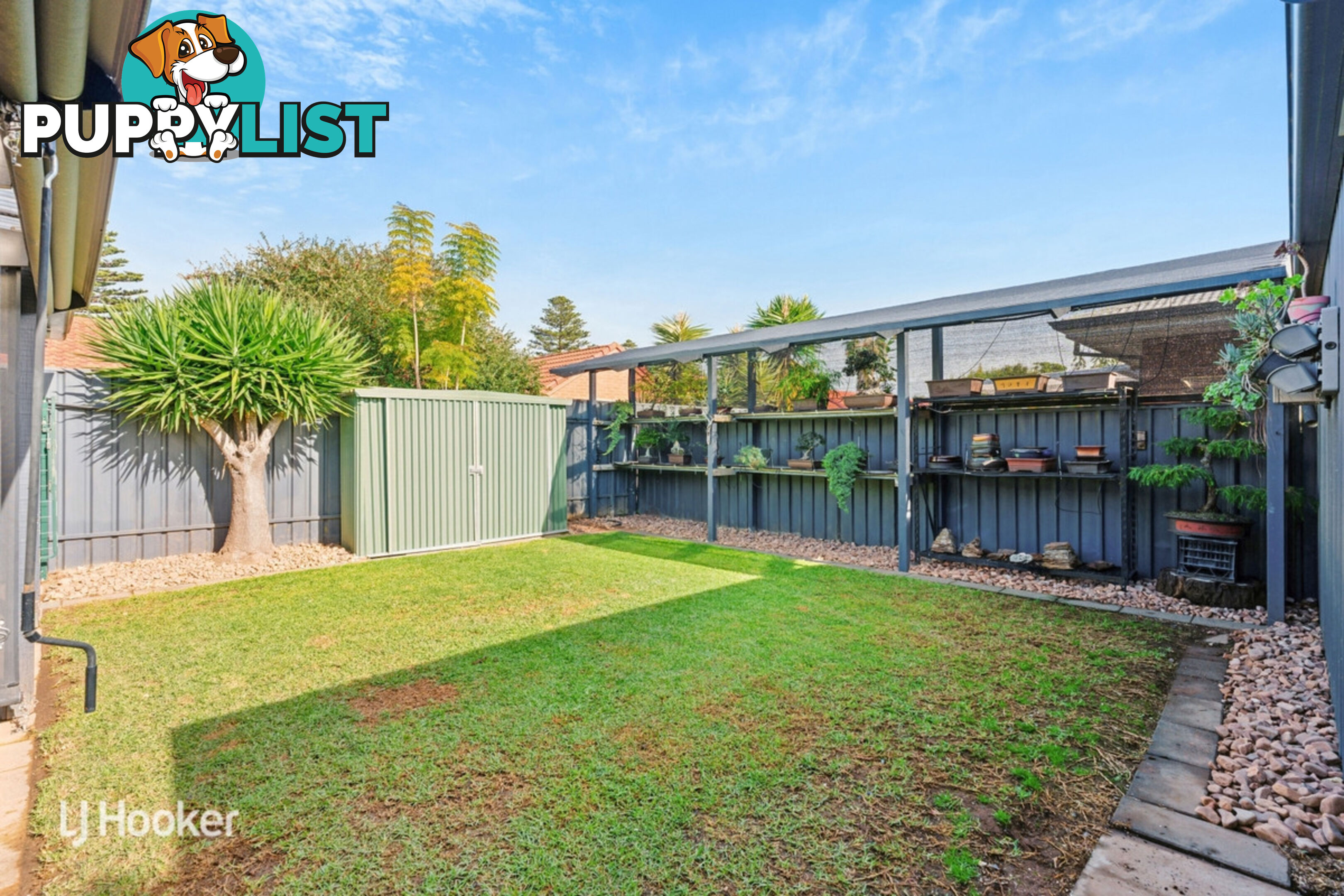 12 Caroona Avenue HOVE SA 5048