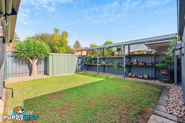 12 Caroona Avenue HOVE SA 5048