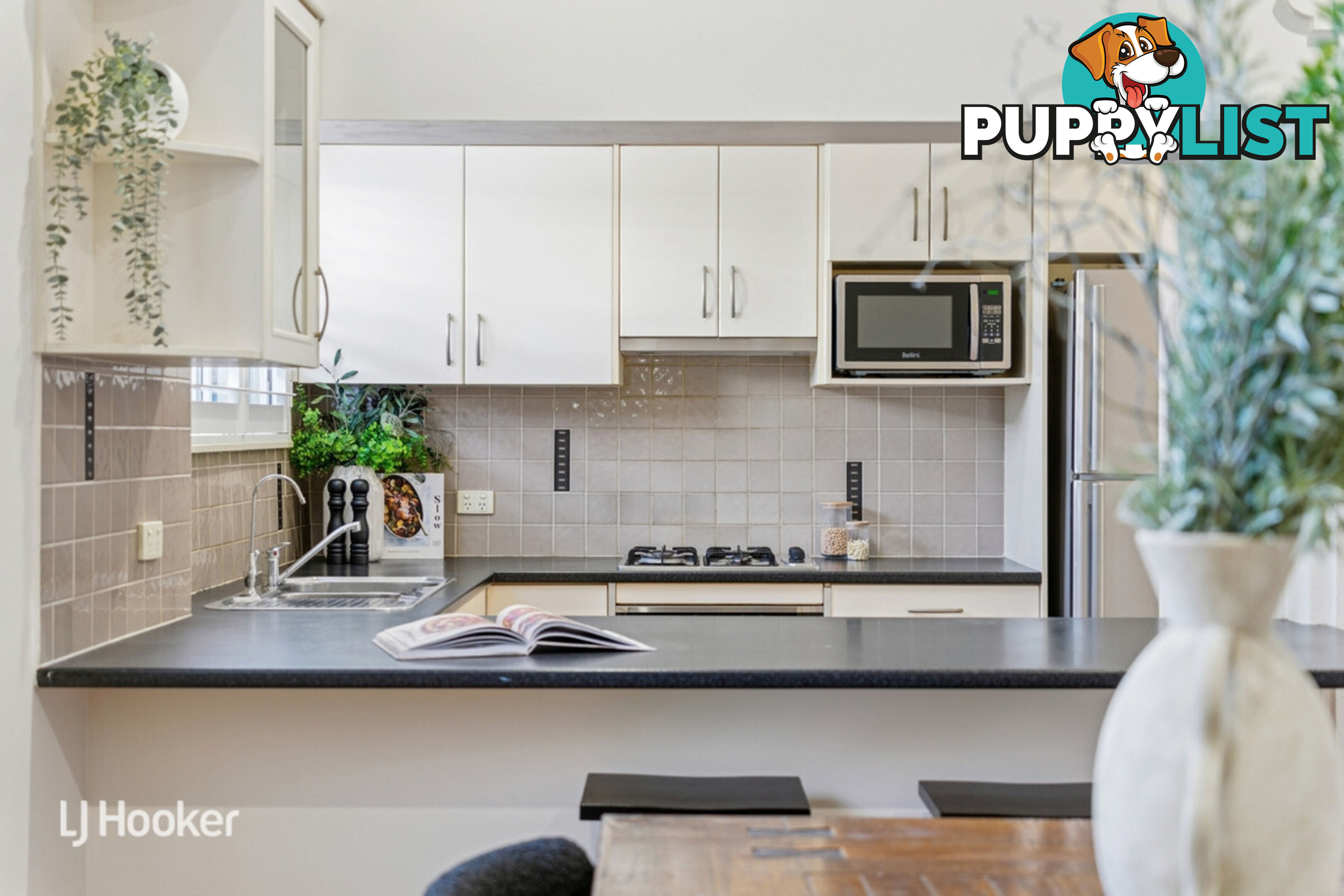 12 Caroona Avenue HOVE SA 5048