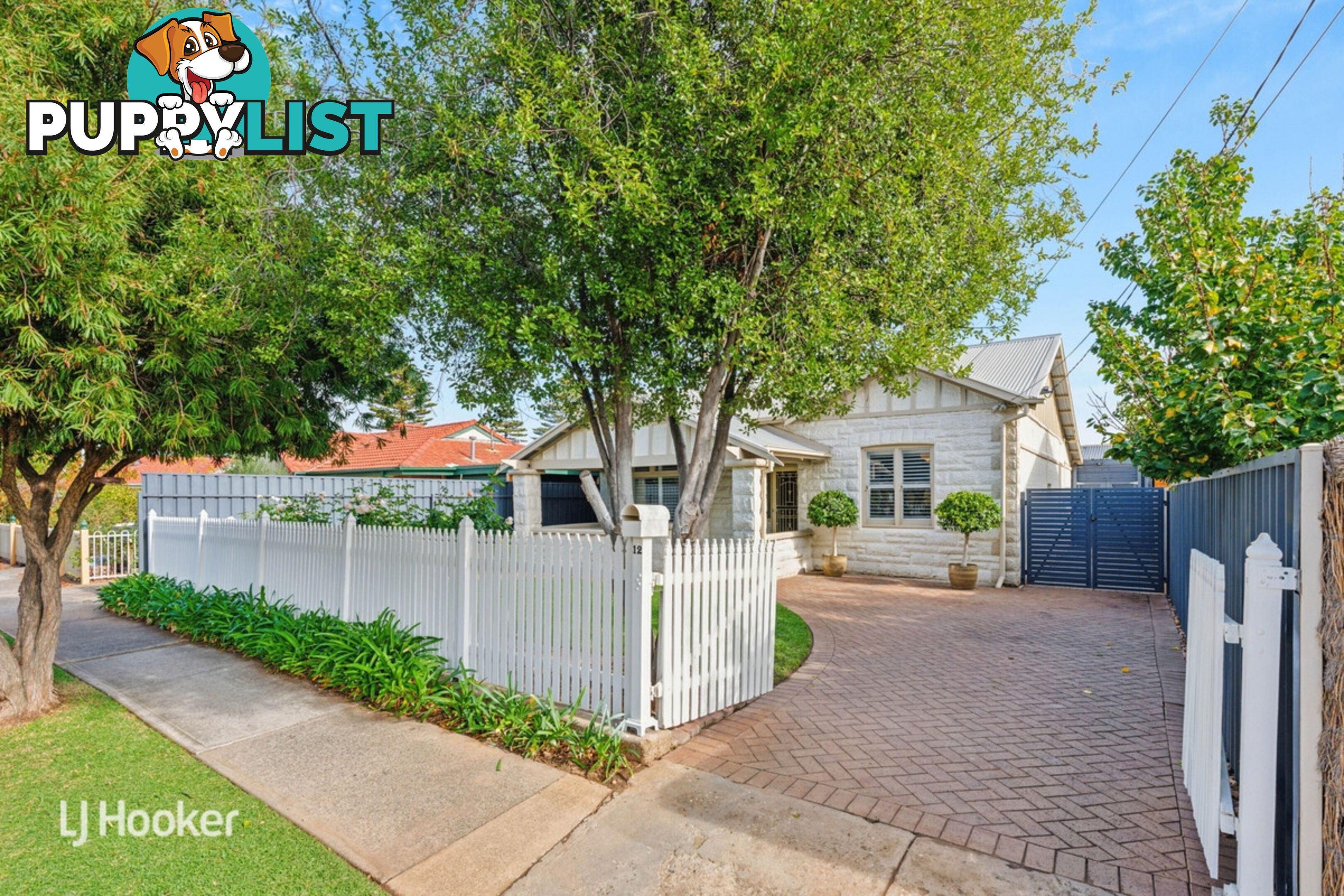 12 Caroona Avenue HOVE SA 5048