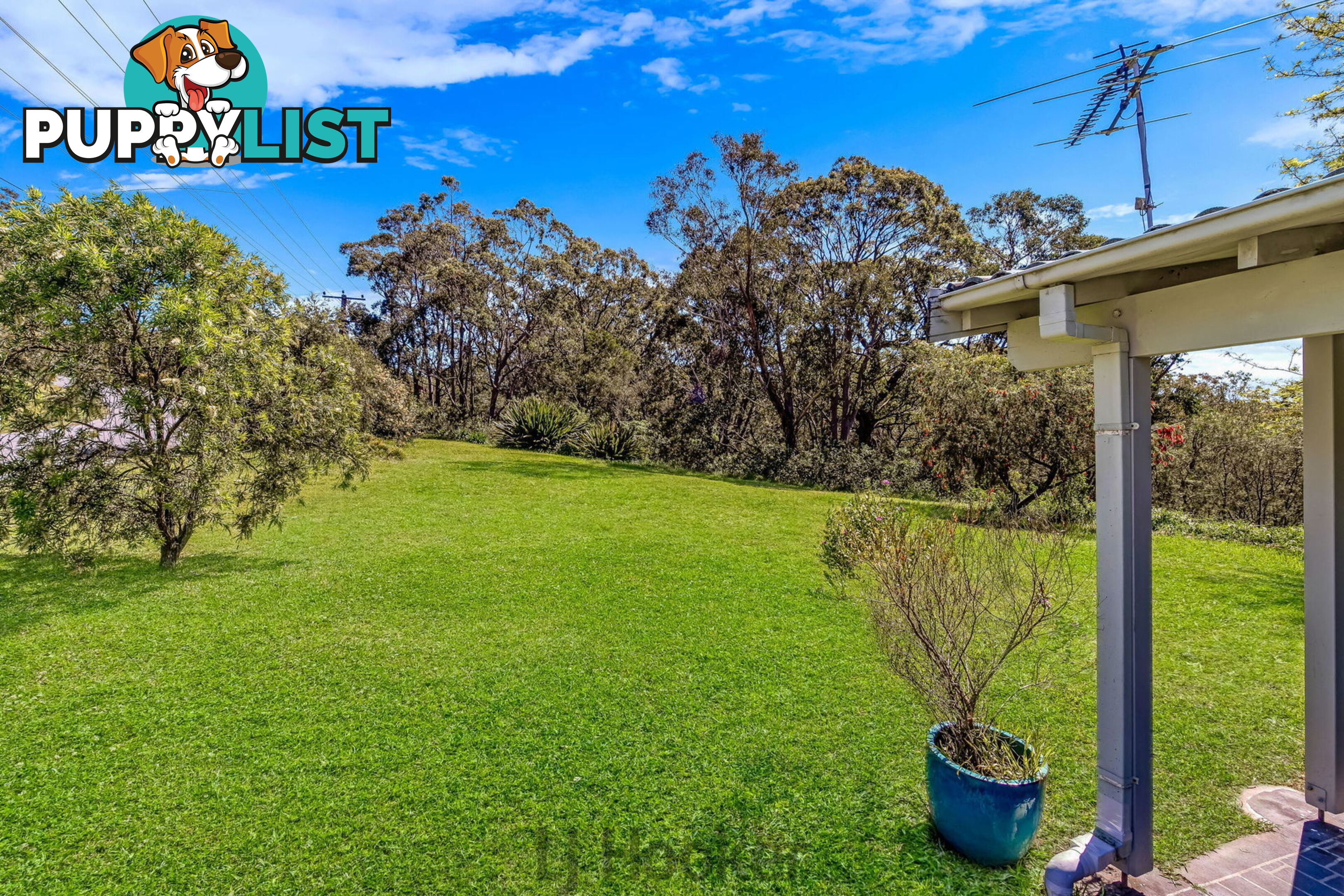 67 Glade Street ARCADIA VALE NSW 2283