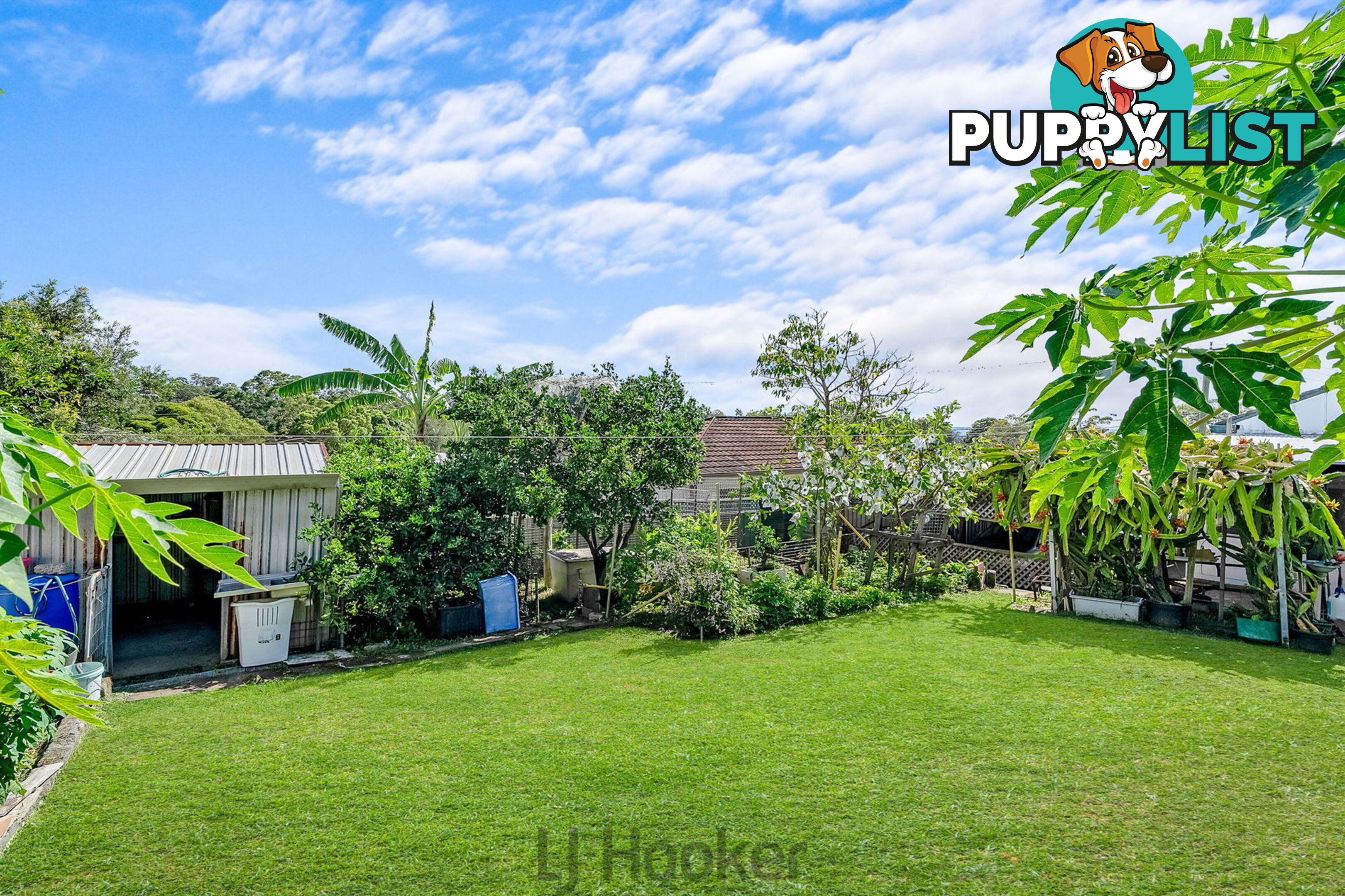 1 Carawa Street WANGI WANGI NSW 2267