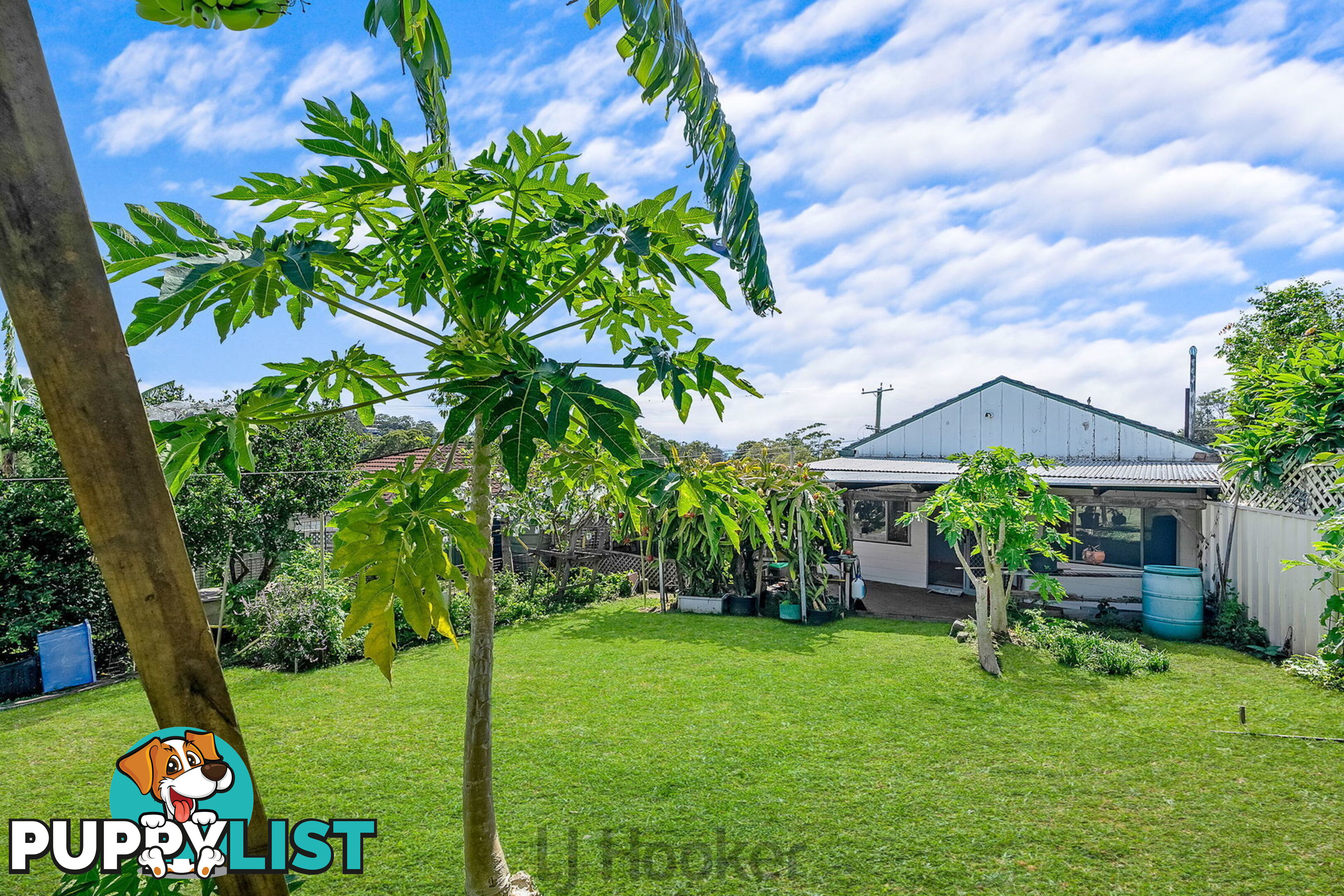 1 Carawa Street WANGI WANGI NSW 2267