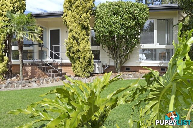 3 Akora Street TORONTO NSW 2283