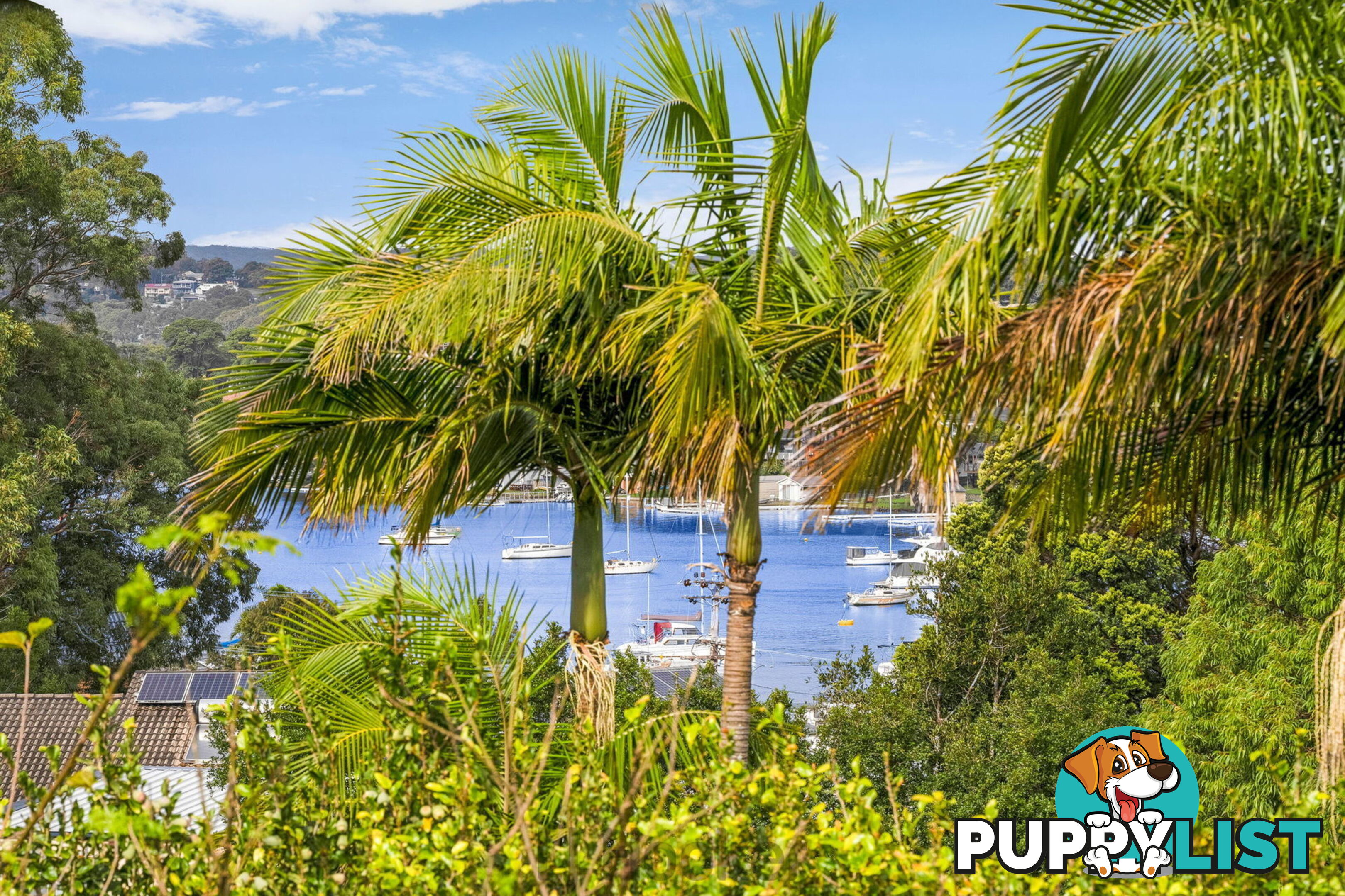 26 Newark Street BUTTABA NSW 2283