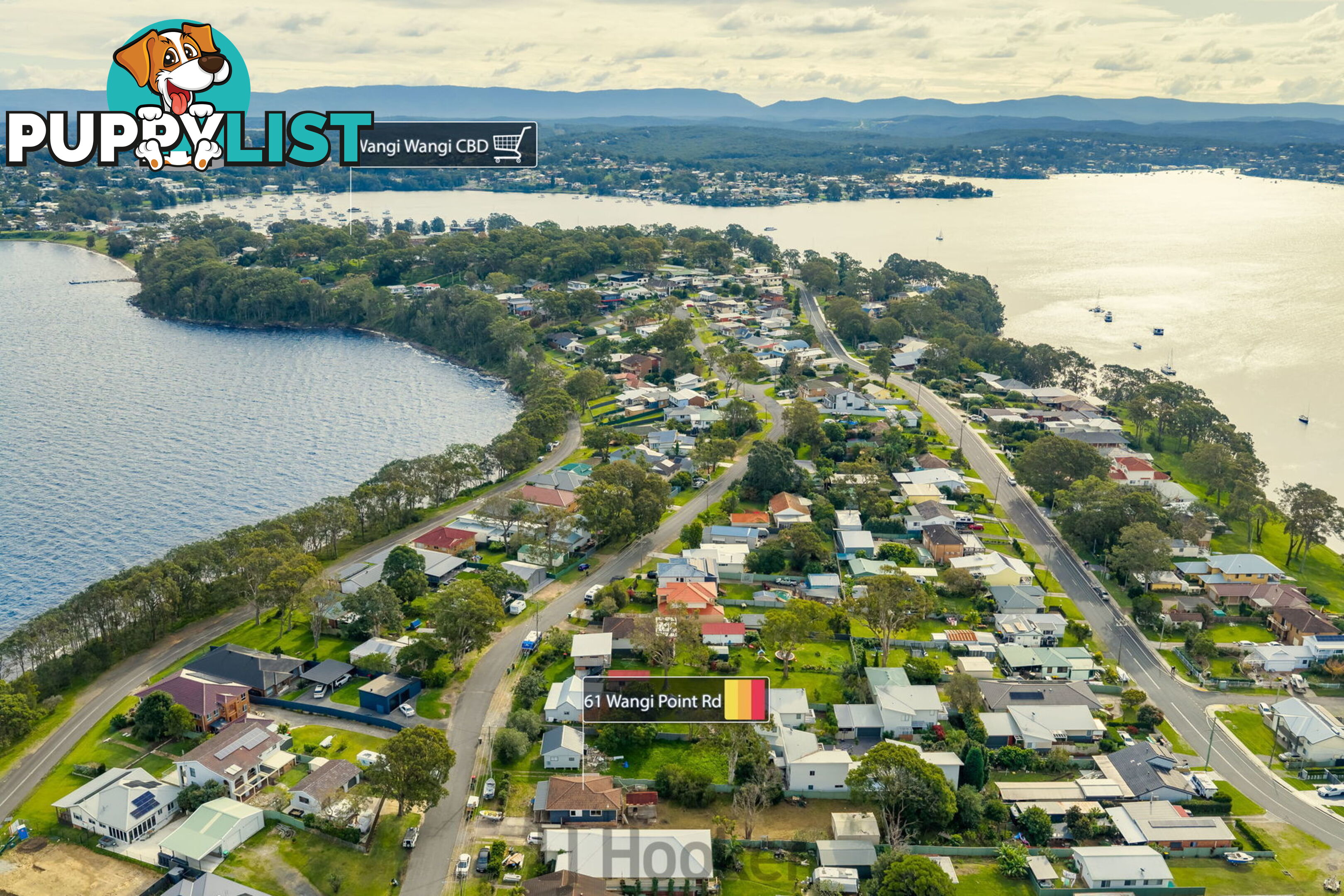 61 Wangi Point Road WANGI WANGI NSW 2267