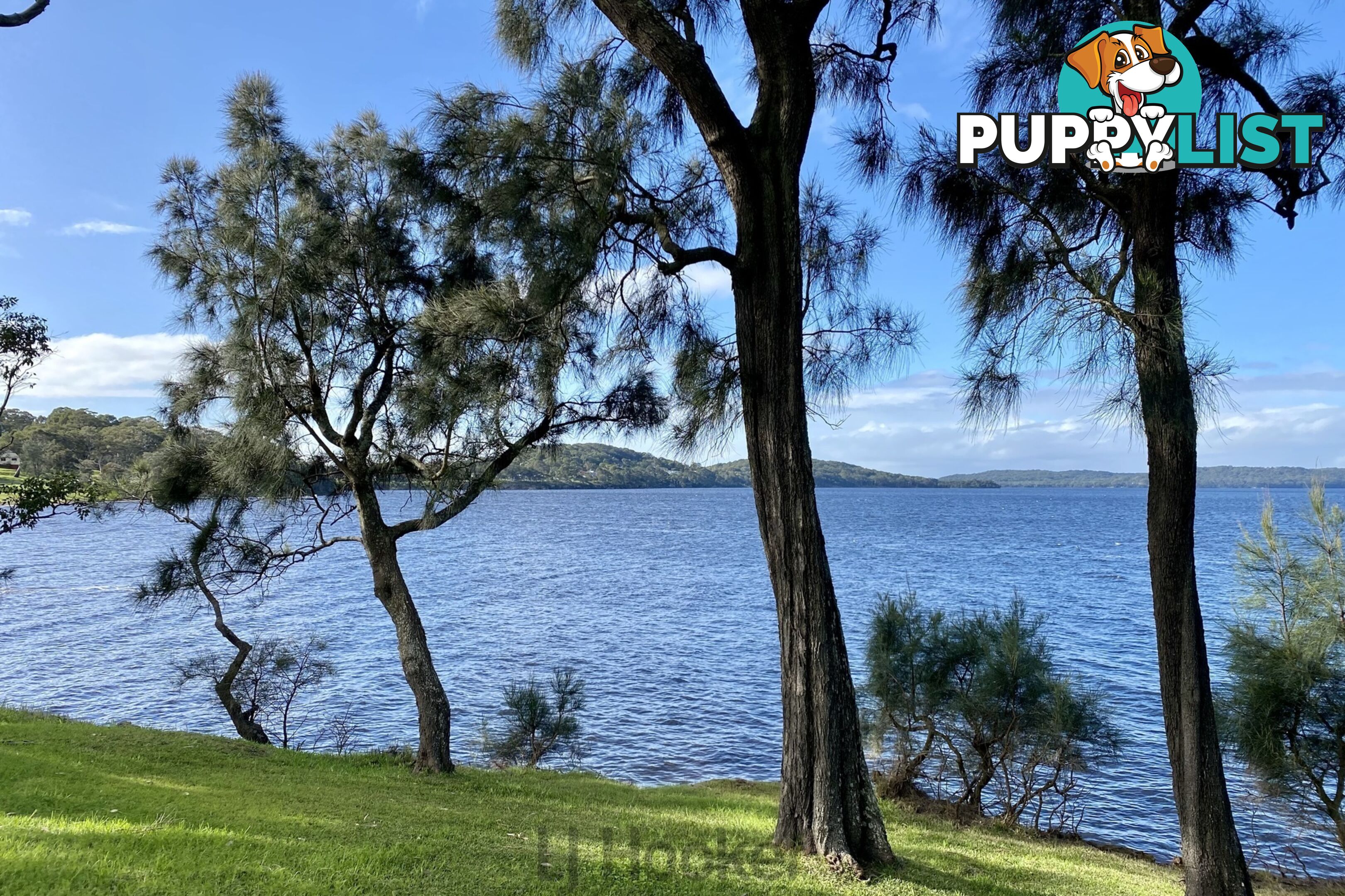 102 Dobell Drive WANGI WANGI NSW 2267