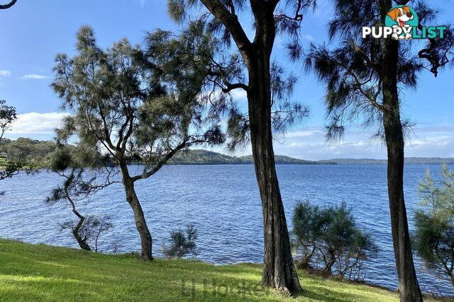 102 Dobell Drive WANGI WANGI NSW 2267