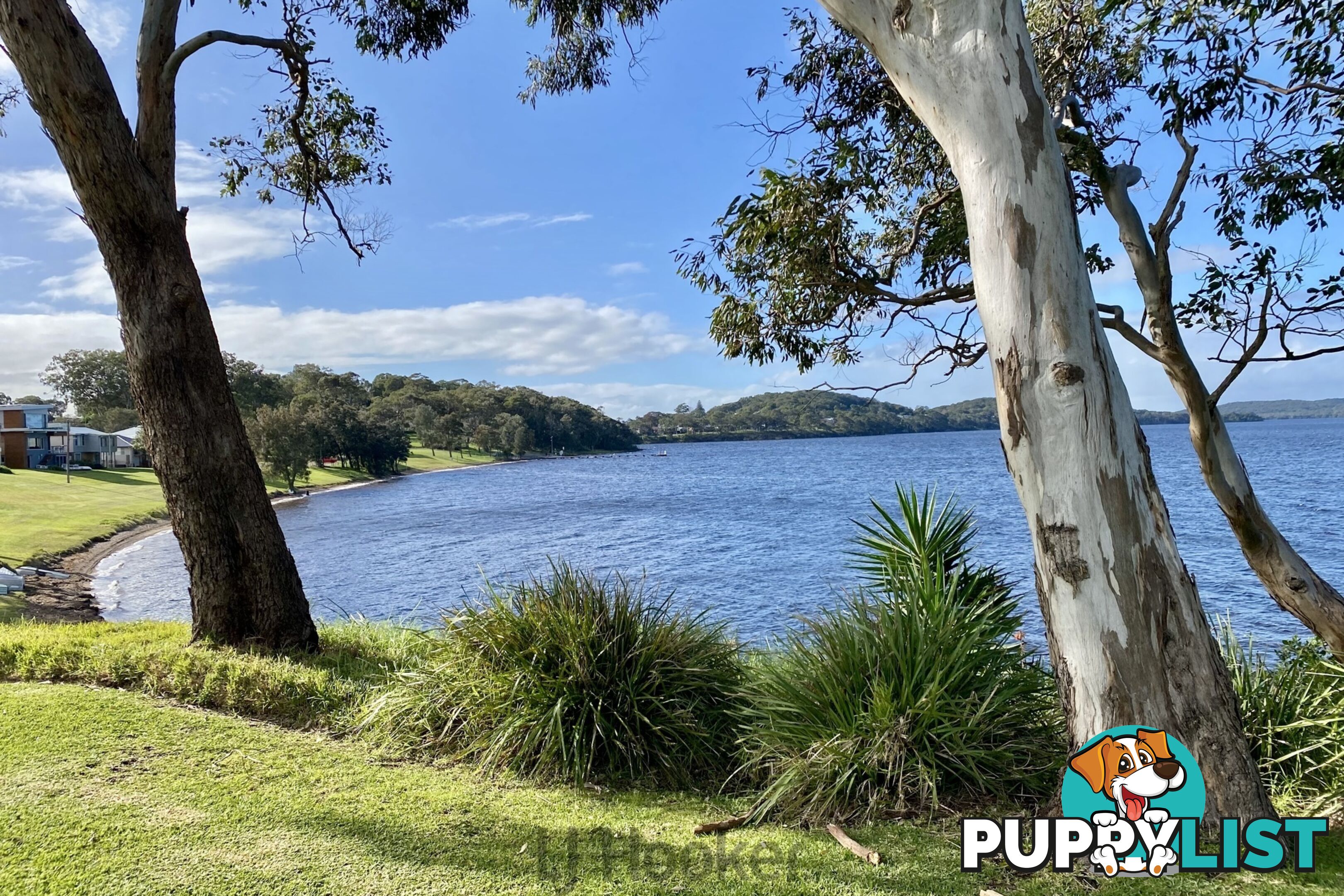 102 Dobell Drive WANGI WANGI NSW 2267