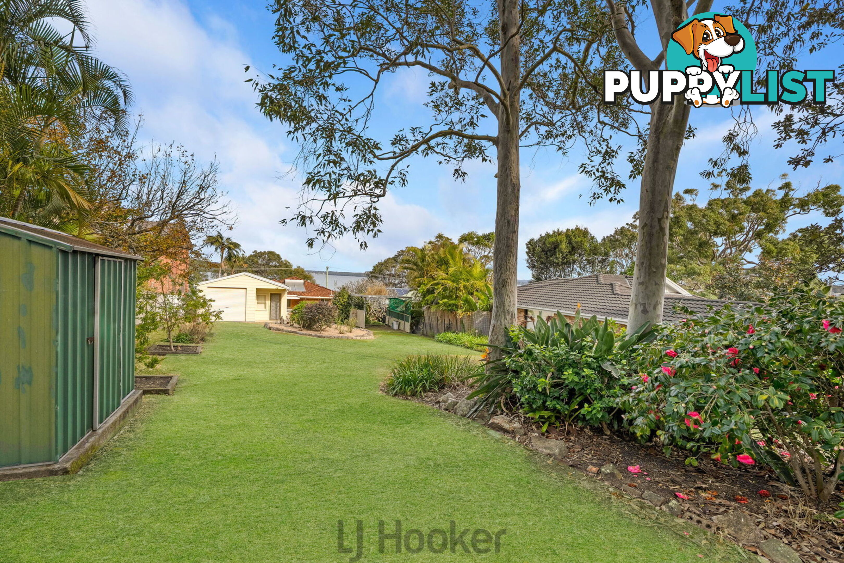 219 Dobell Drive WANGI WANGI NSW 2267