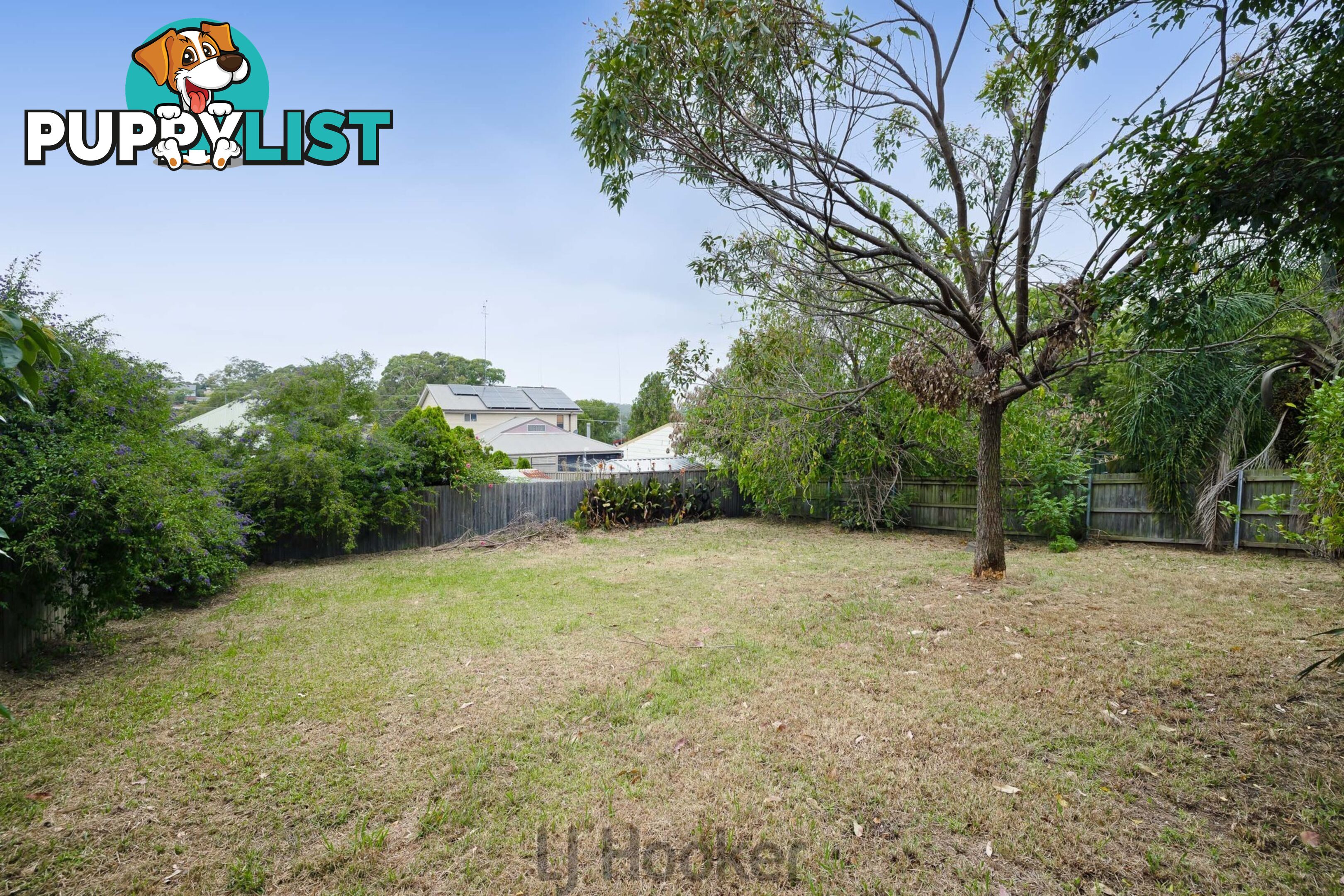 4 Margaret Street FENNELL BAY NSW 2283