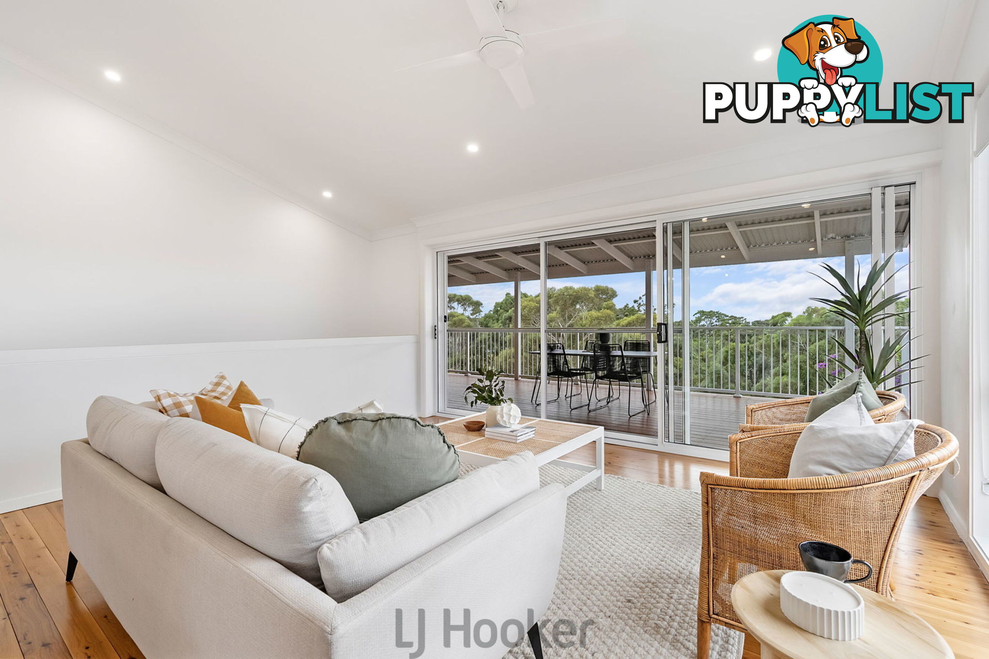 13 Park Street ARCADIA VALE NSW 2283