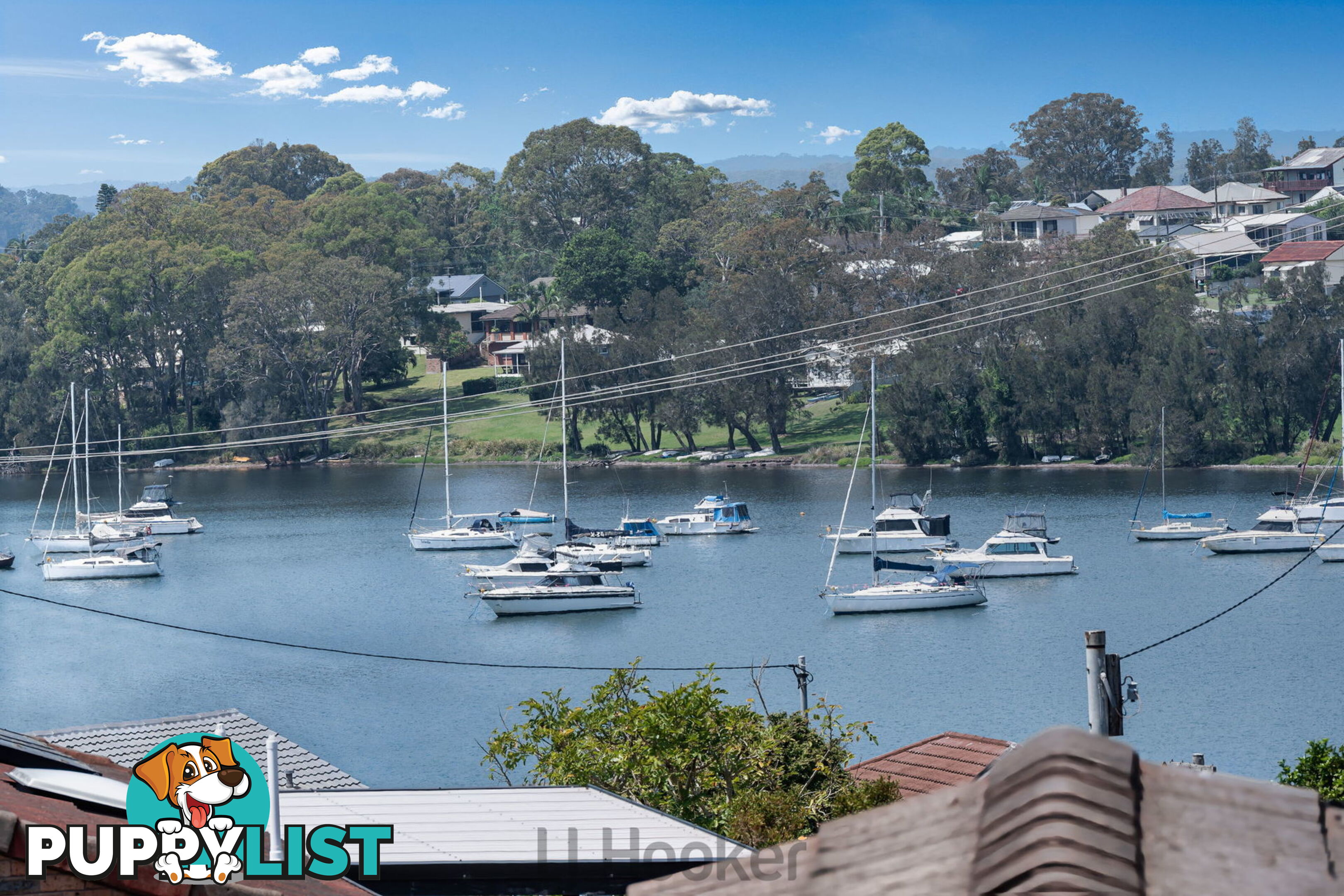 13 Park Street ARCADIA VALE NSW 2283