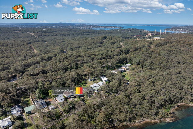 14 Eucalypt Close WANGI WANGI NSW 2267