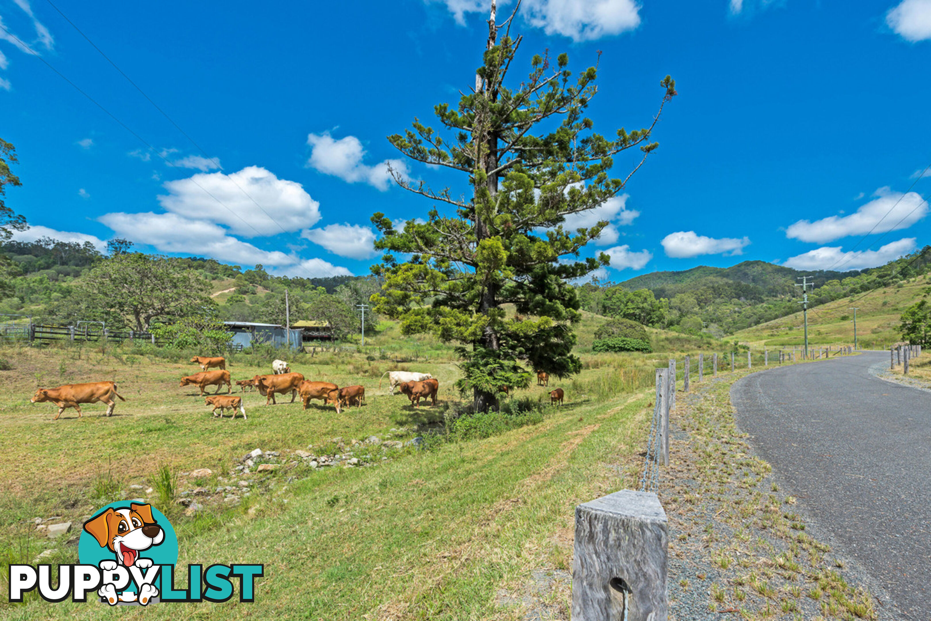 416 Woodward Road Armstrong Creek QLD 4520