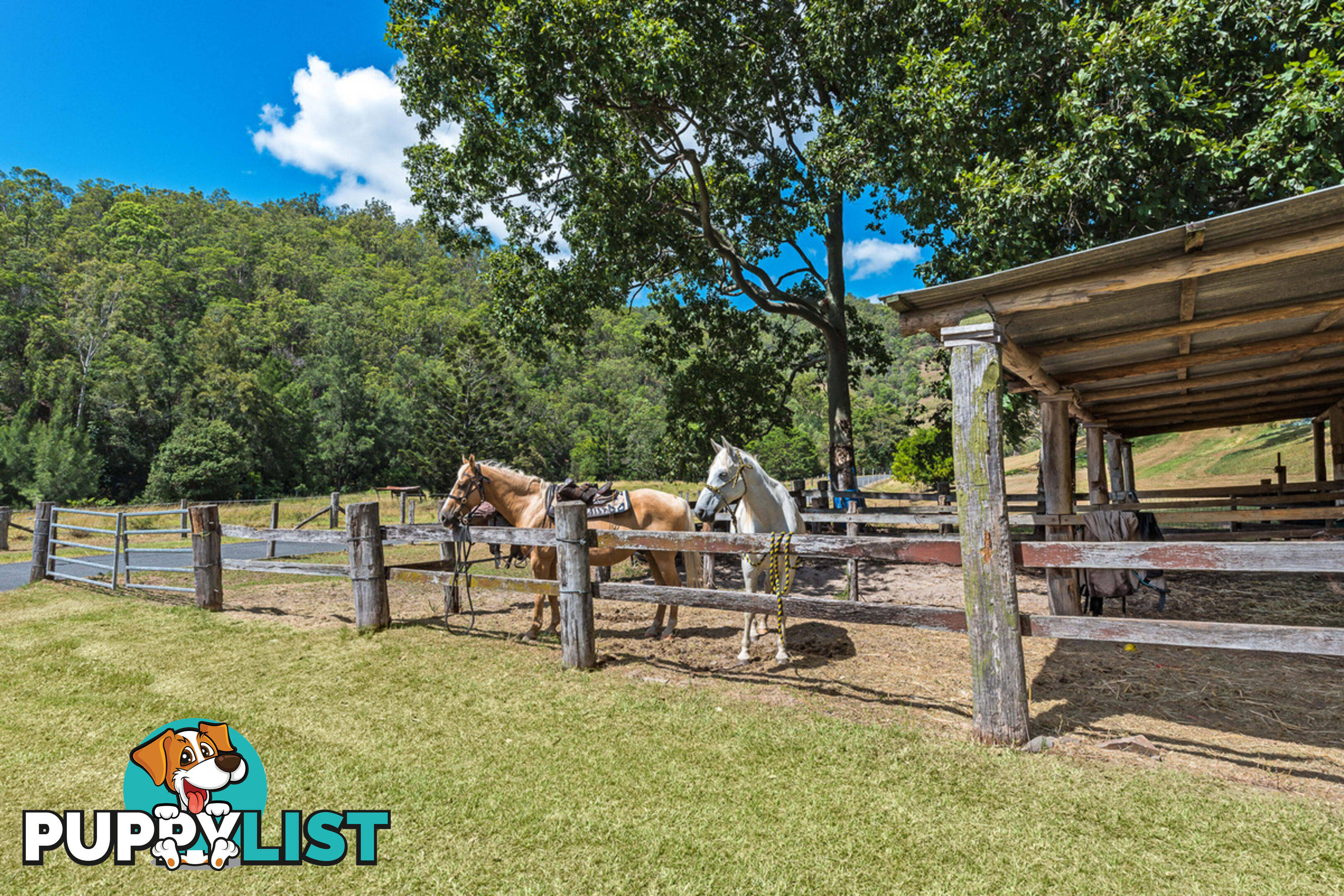 416 Woodward Road Armstrong Creek QLD 4520